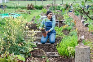 Rekha planting in her kitchen garden